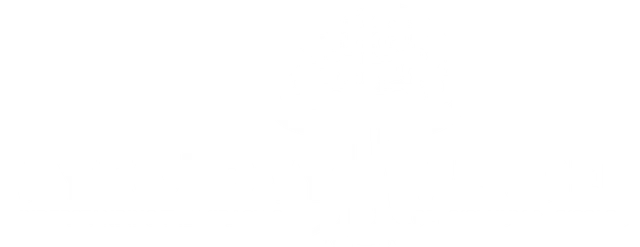 Mycology Minded